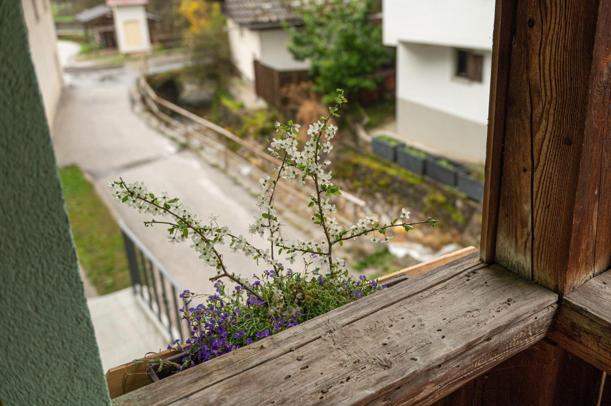 Zelena Hisa Pri Bjov Apartment โบฮินิสกา เบลา ภายนอก รูปภาพ
